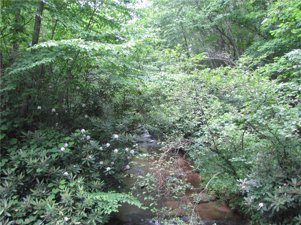 Xx Xx Flint Hill Road Cana, VA 24317 - Photo 2 of 11 Gallery Image 2