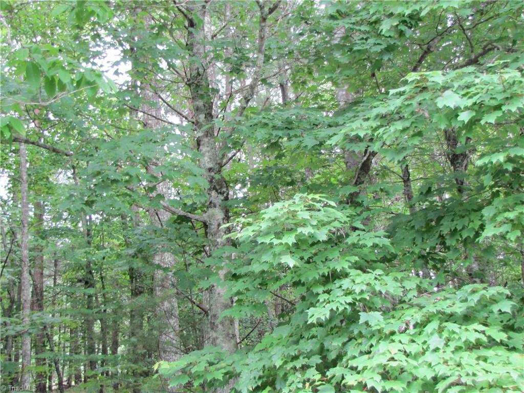 Xx Xx Flint Hill Road Cana, VA 24317 - Photo 8 of 11 Gallery Image 8