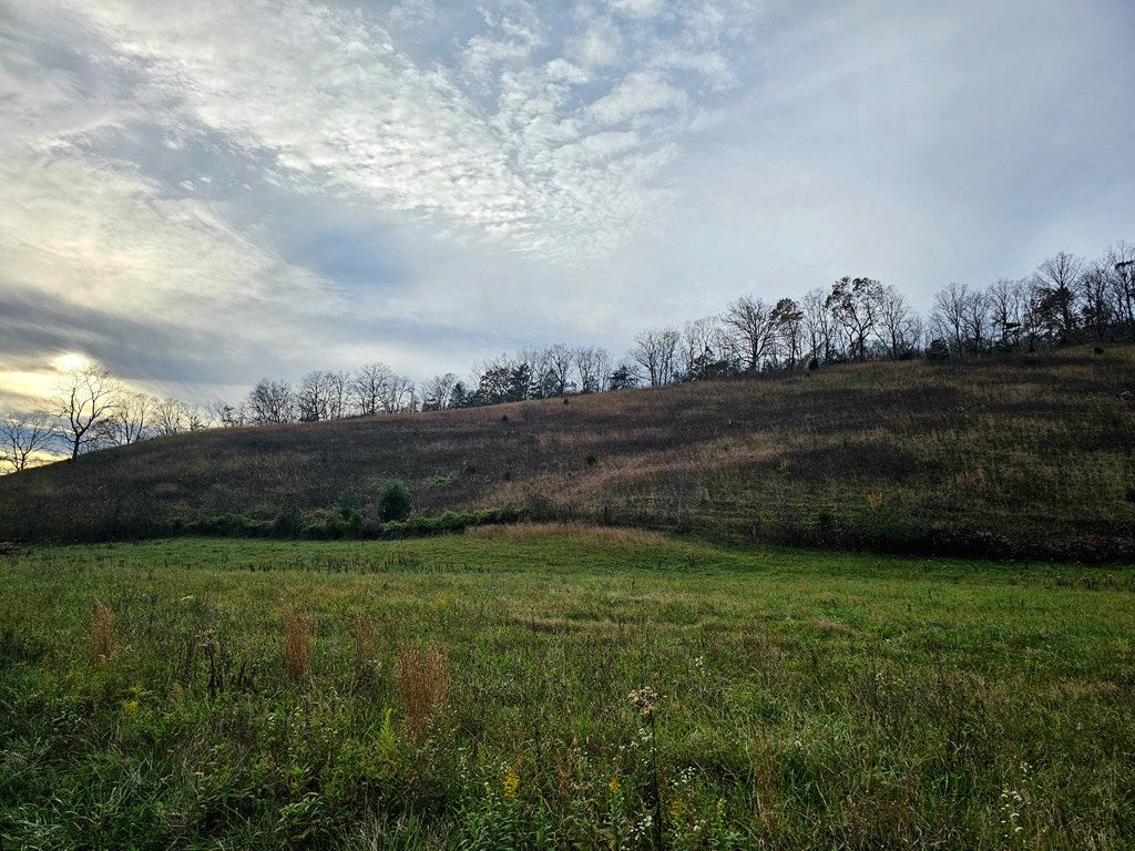 28315 Poor Valley Road, Unit 15 Saltville, VA 24370 - Photo 14 of 15 Gallery Image 14