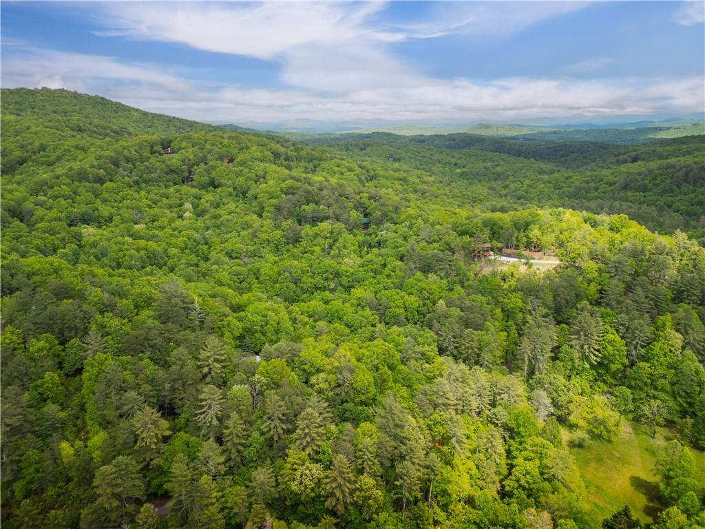 203 Mountain View Road Cherry Log, GA 30522 - Photo 31 of 32