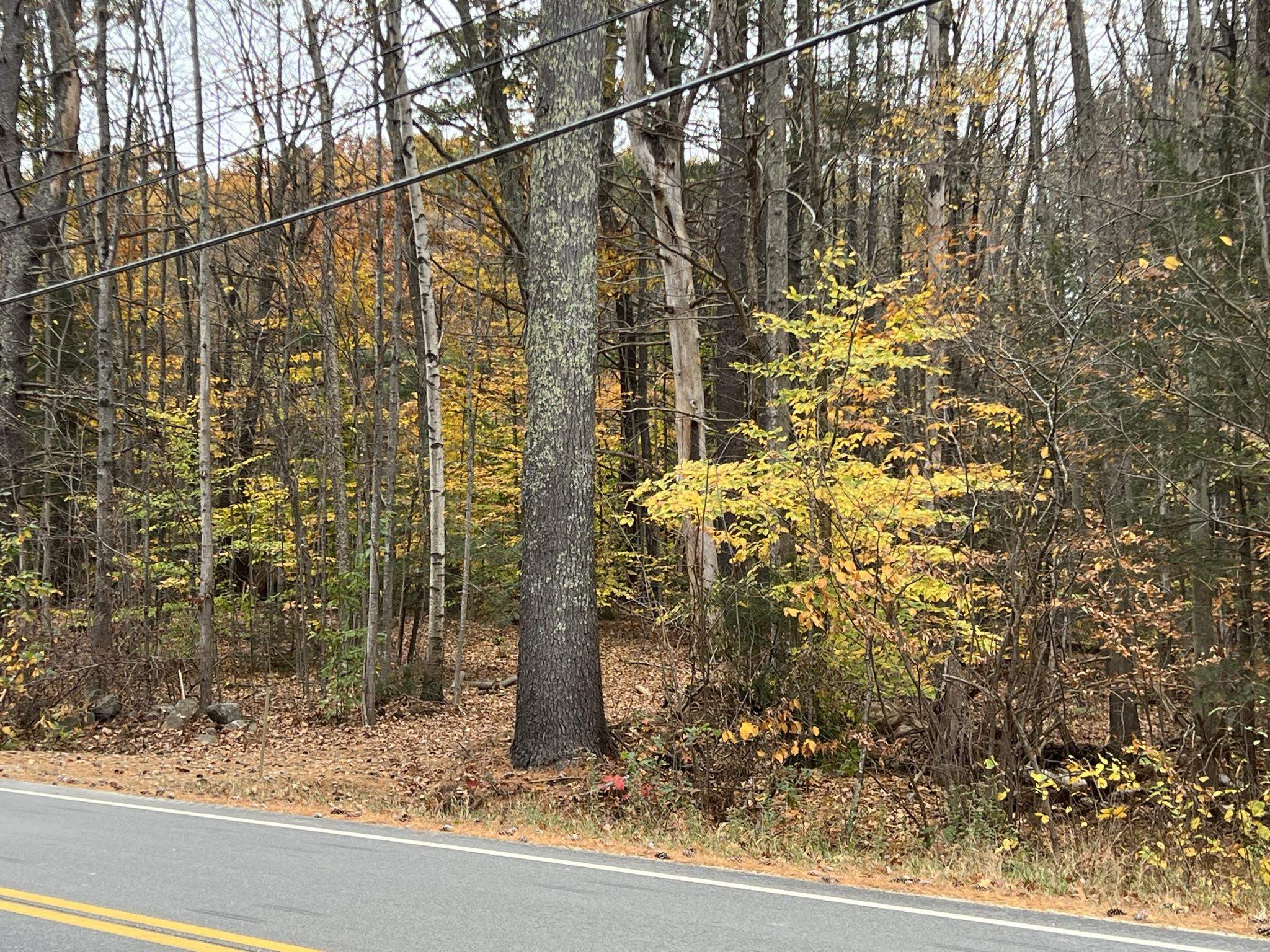 Rochester Road, Unit 18 Northwood, NH 03261 - Photo 4 of 4