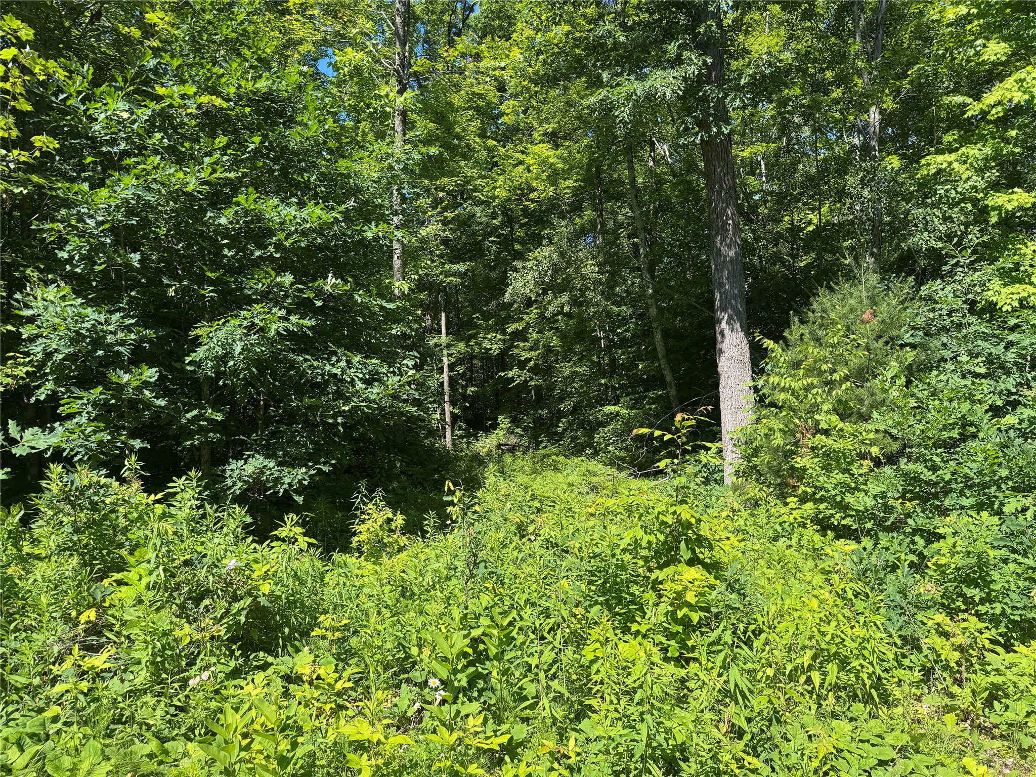 Xx Bean Brk Lane Stone Lake, WI 54876 - Photo 15 of 16