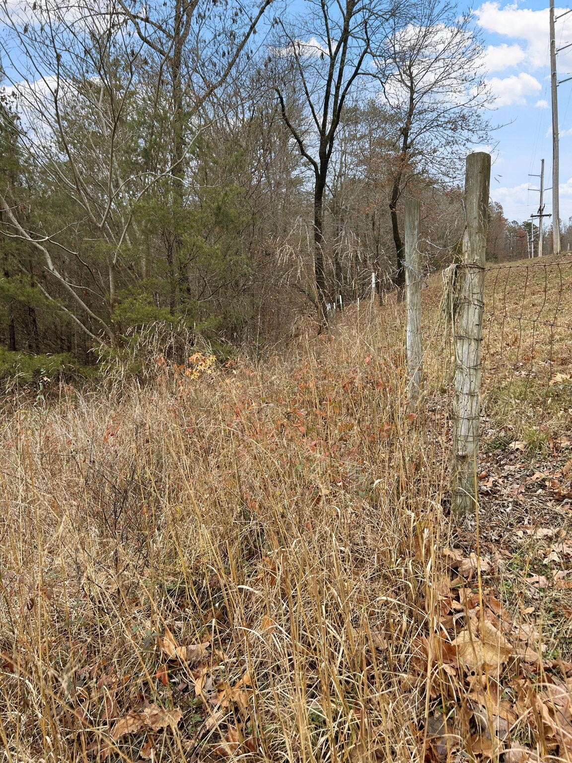 1635 Bennett Lake Road Whitwell, TN 37397 - Photo 13 of 22 Gallery Image 13