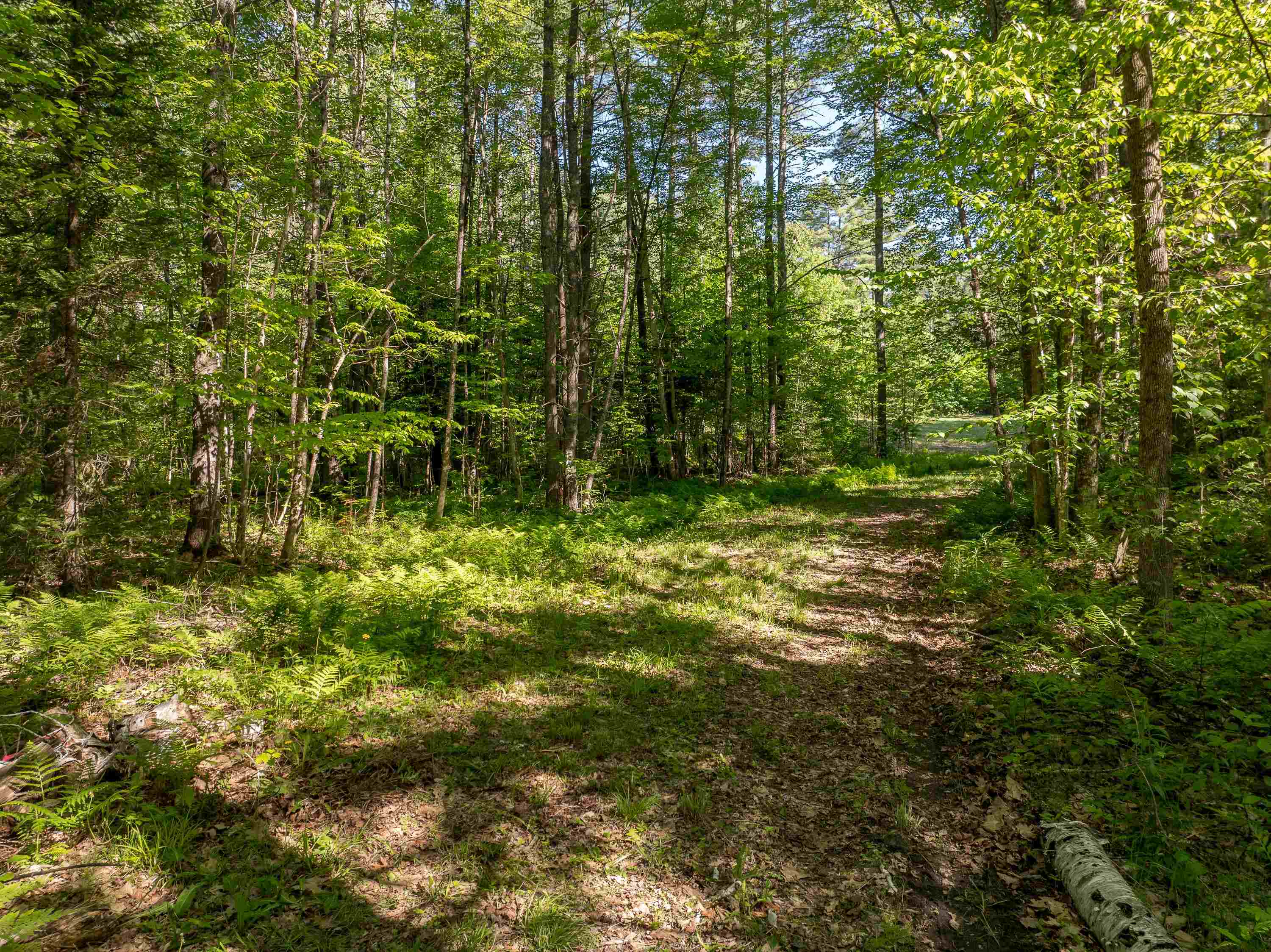 Lot 22 Rabbit Path Road Landaff, NH 03585 - Photo 3 of 19