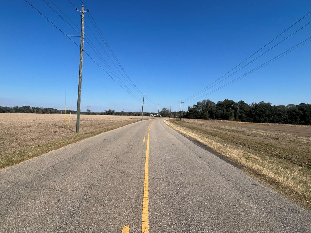 15-ac Webb Road Dothan, AL 36301 - Photo 18 of 33