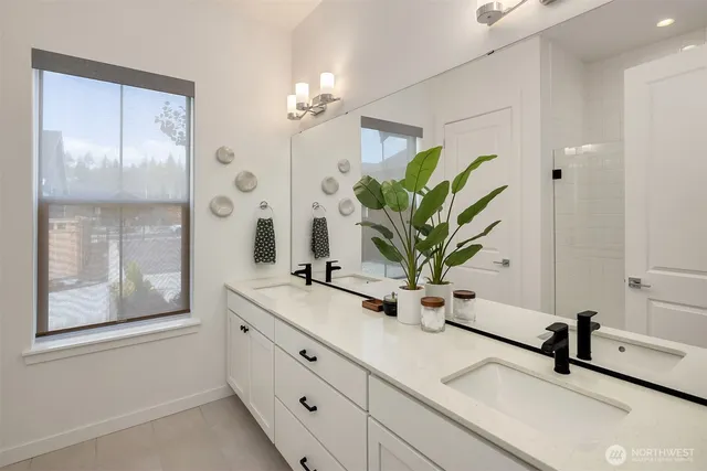 a view of bathroom with a potted plant on the counter and mirror