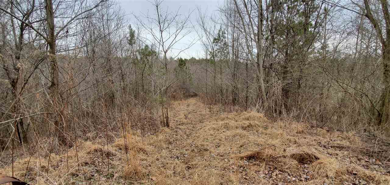1954 Jamestown Road Burlison, TN 38015 - Photo 24 of 25 Gallery Image 24