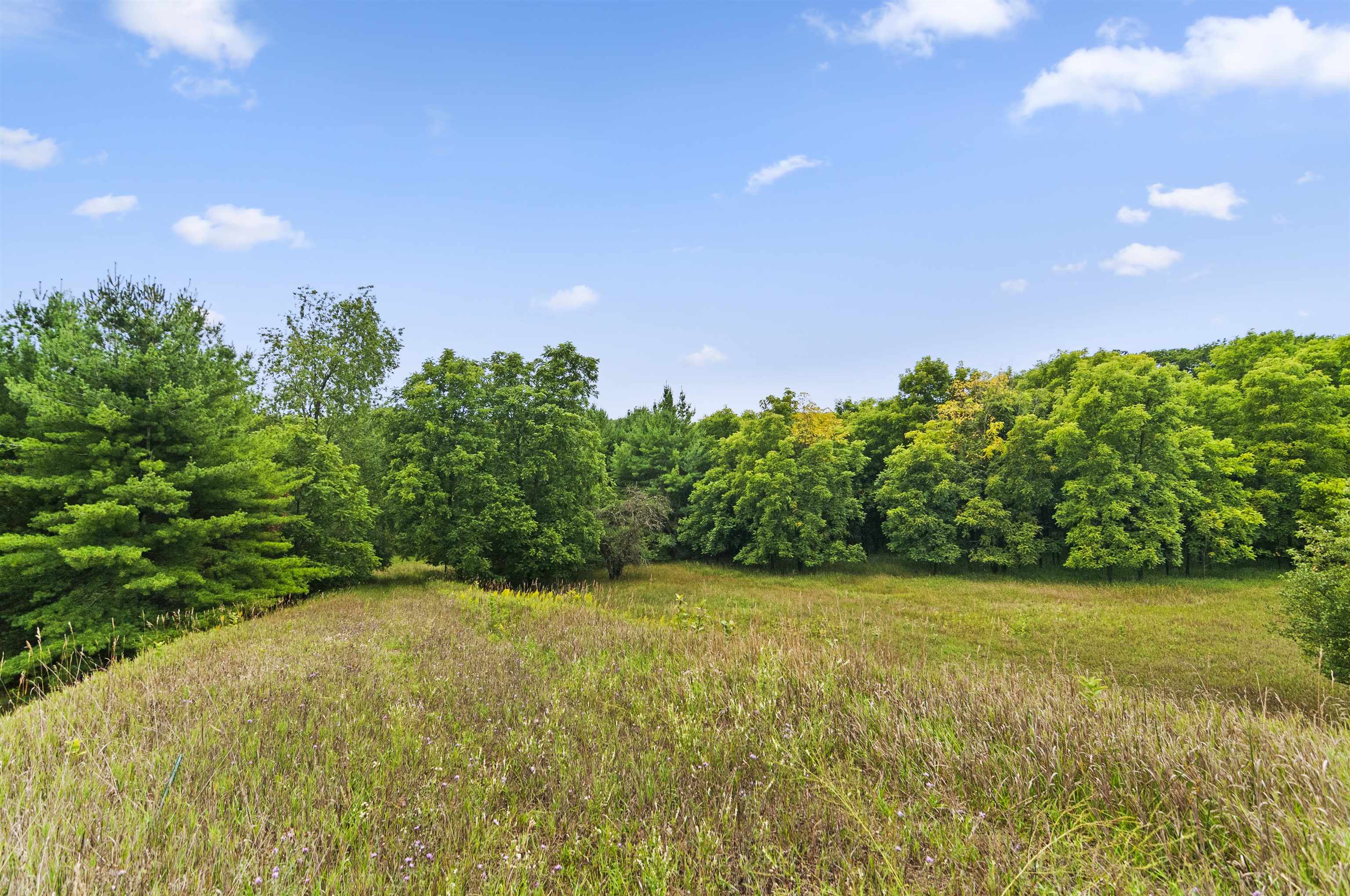 9 9 Mile Road Kingsley, MI 49649 - Photo 4 of 66