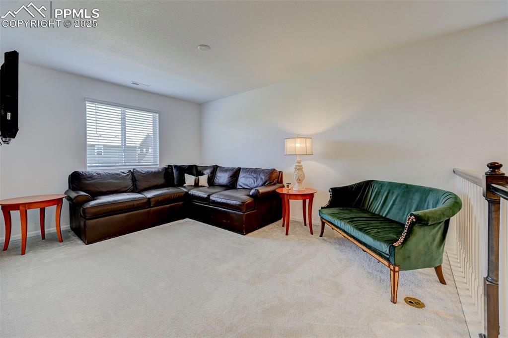 6237 Bodacious Circle Colorado Springs, CO 80923 - Photo 16 of 33 View of carpeted living room