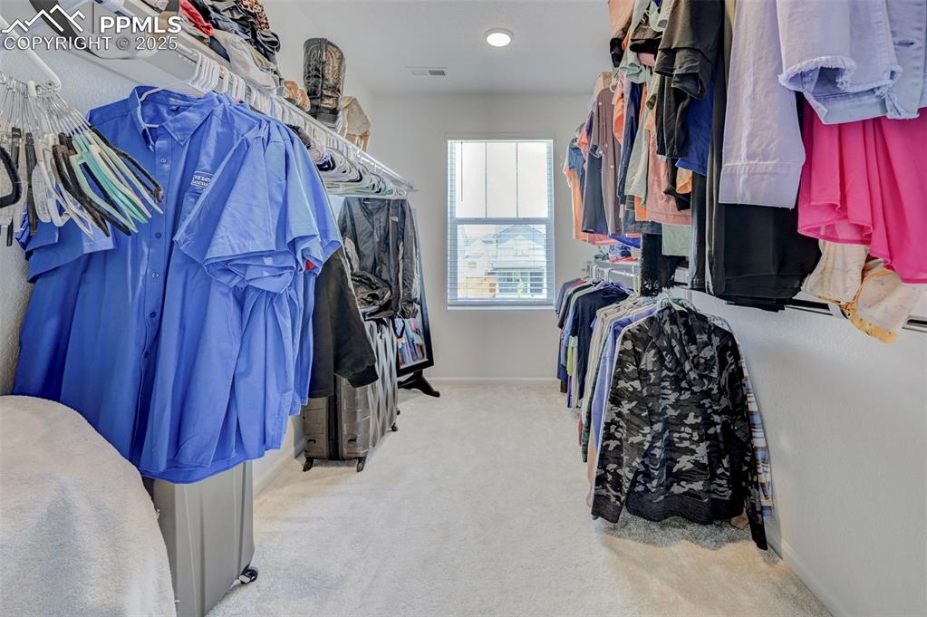 6237 Bodacious Circle Colorado Springs, CO 80923 - Photo 23 of 33 Walk in closet featuring carpet floors