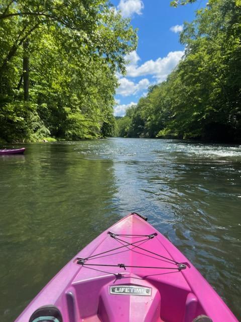 390 Riverbrook Road Henry, VA 24102 - Photo 57 of 65 102