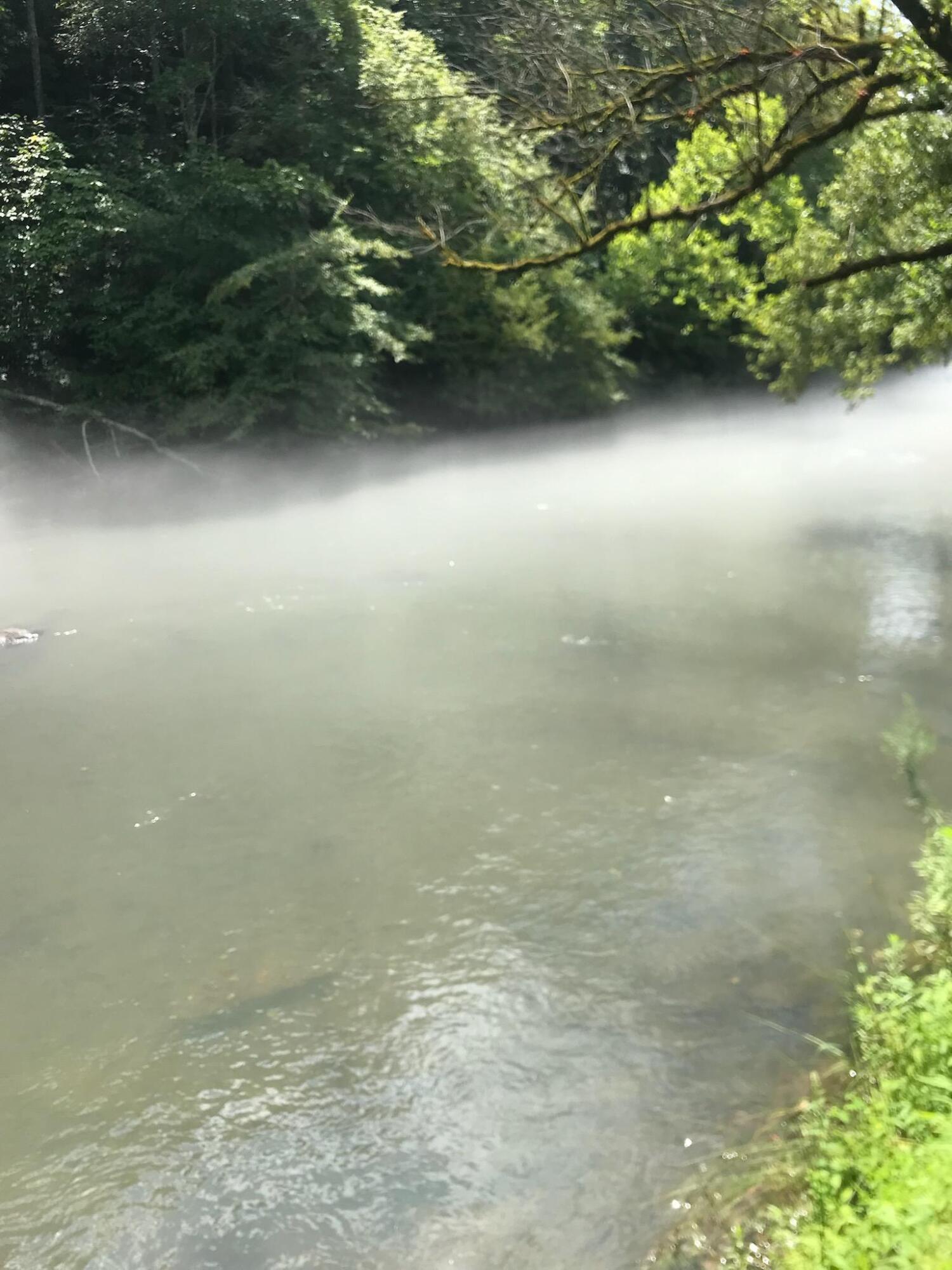 390 Riverbrook Road Henry, VA 24102 - Photo 58 of 65 103