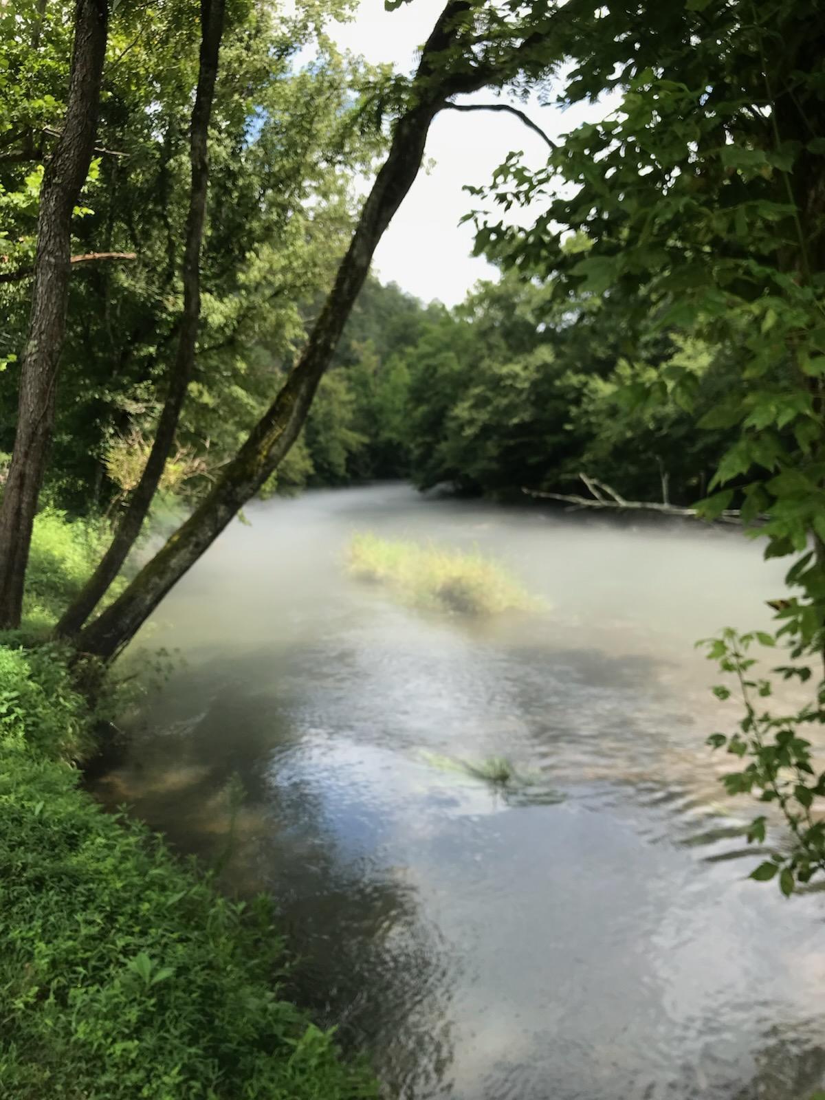 390 Riverbrook Road Henry, VA 24102 - Photo 59 of 65 104