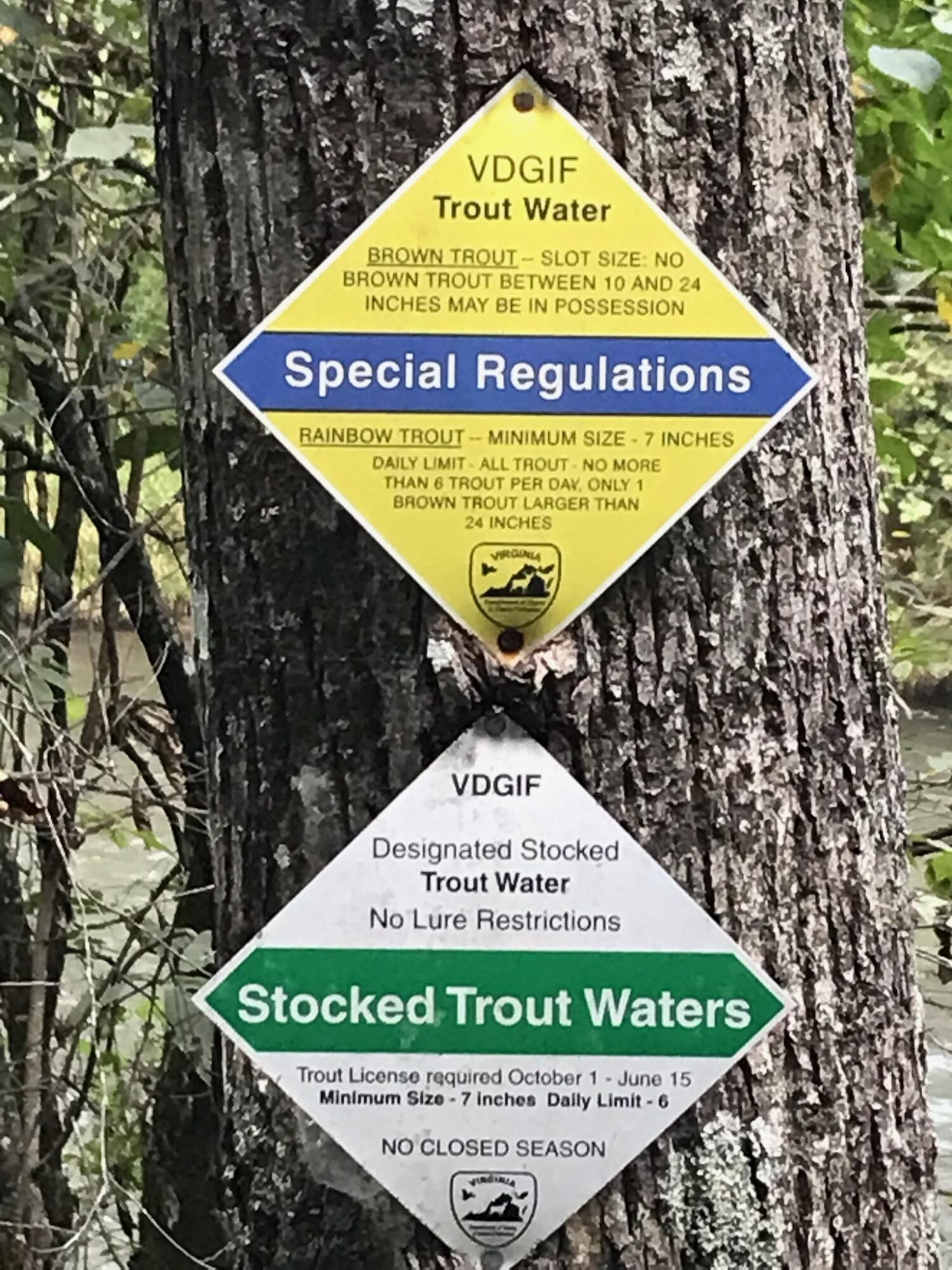 390 Riverbrook Road Henry, VA 24102 - Photo 60 of 65 110