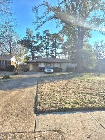 a view of a yard with a tree