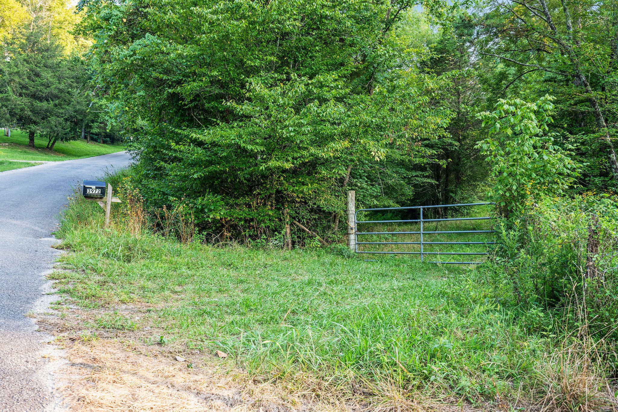 0 Skelley Road Santa Fe, TN 38482 - Photo 13 of 37