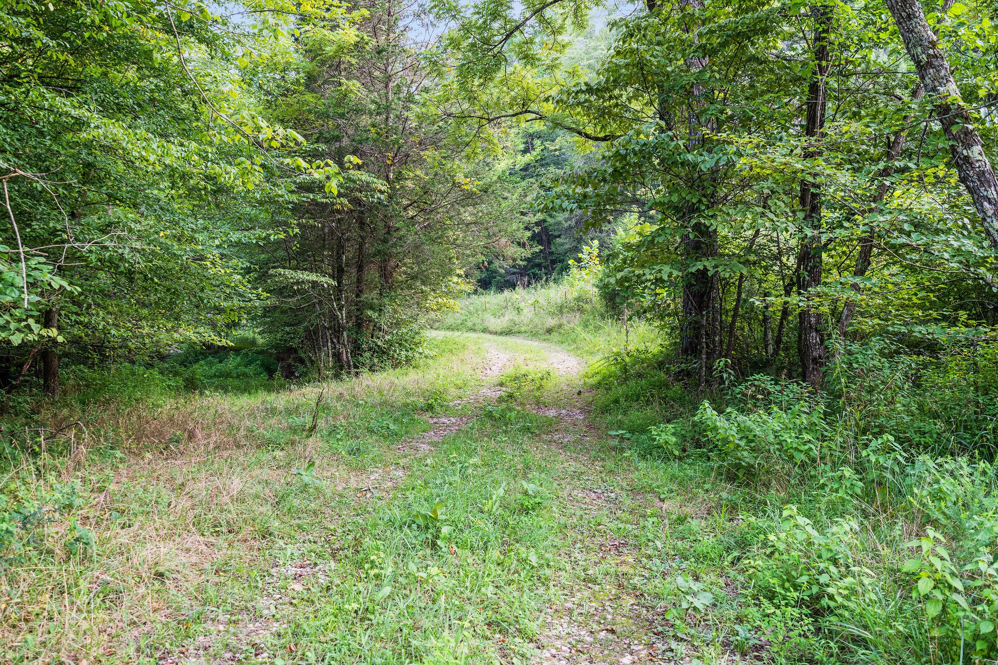 0 Skelley Road Santa Fe, TN 38482 - Photo 16 of 37