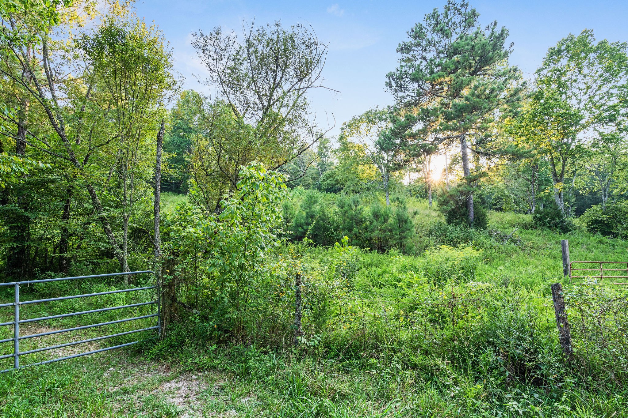 0 Skelley Road Santa Fe, TN 38482 - Photo 17 of 37 a view of a park