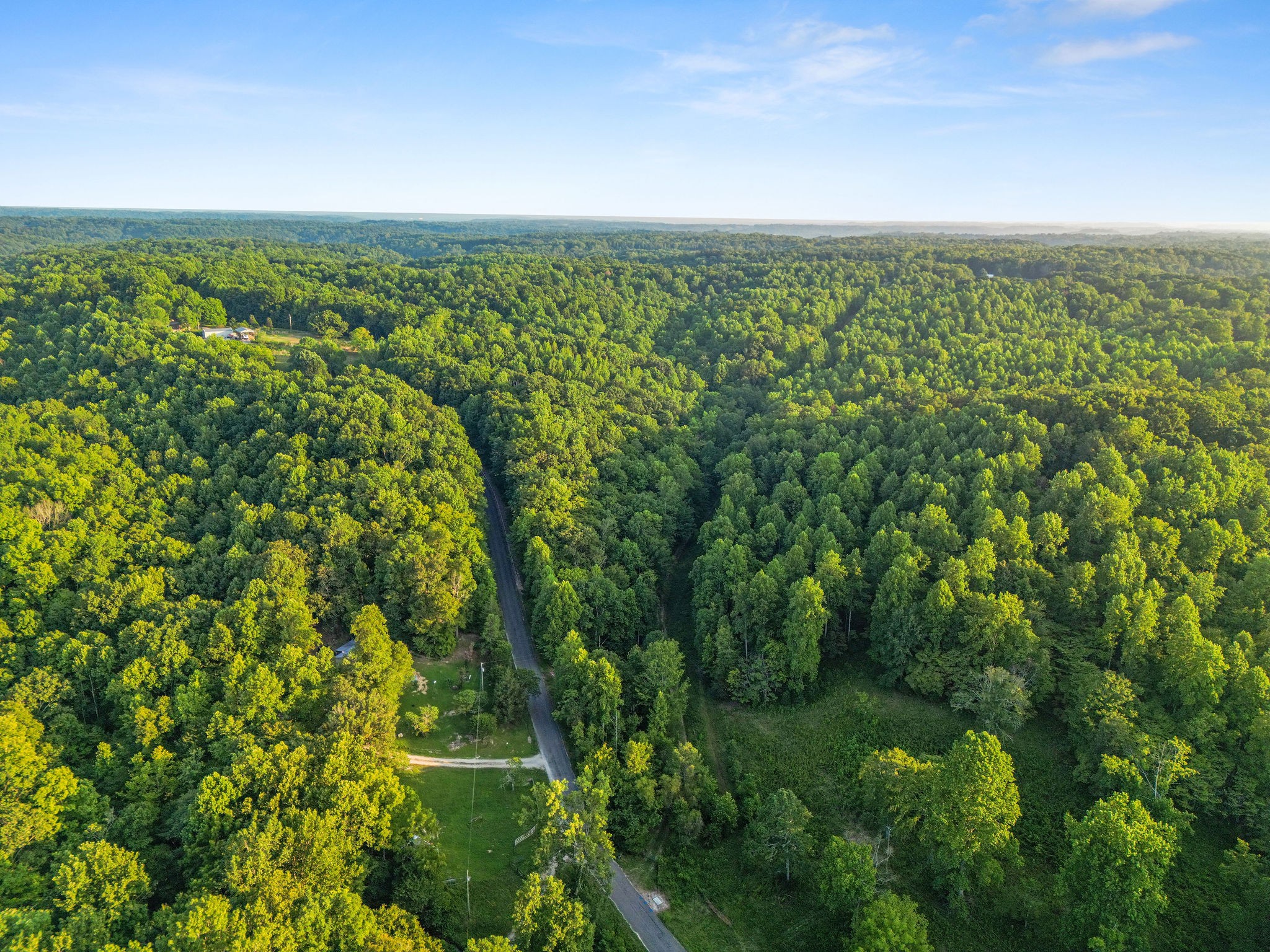 0 Skelley Road Santa Fe, TN 38482 - Photo 19 of 37 a view of a green field with lots of bushes