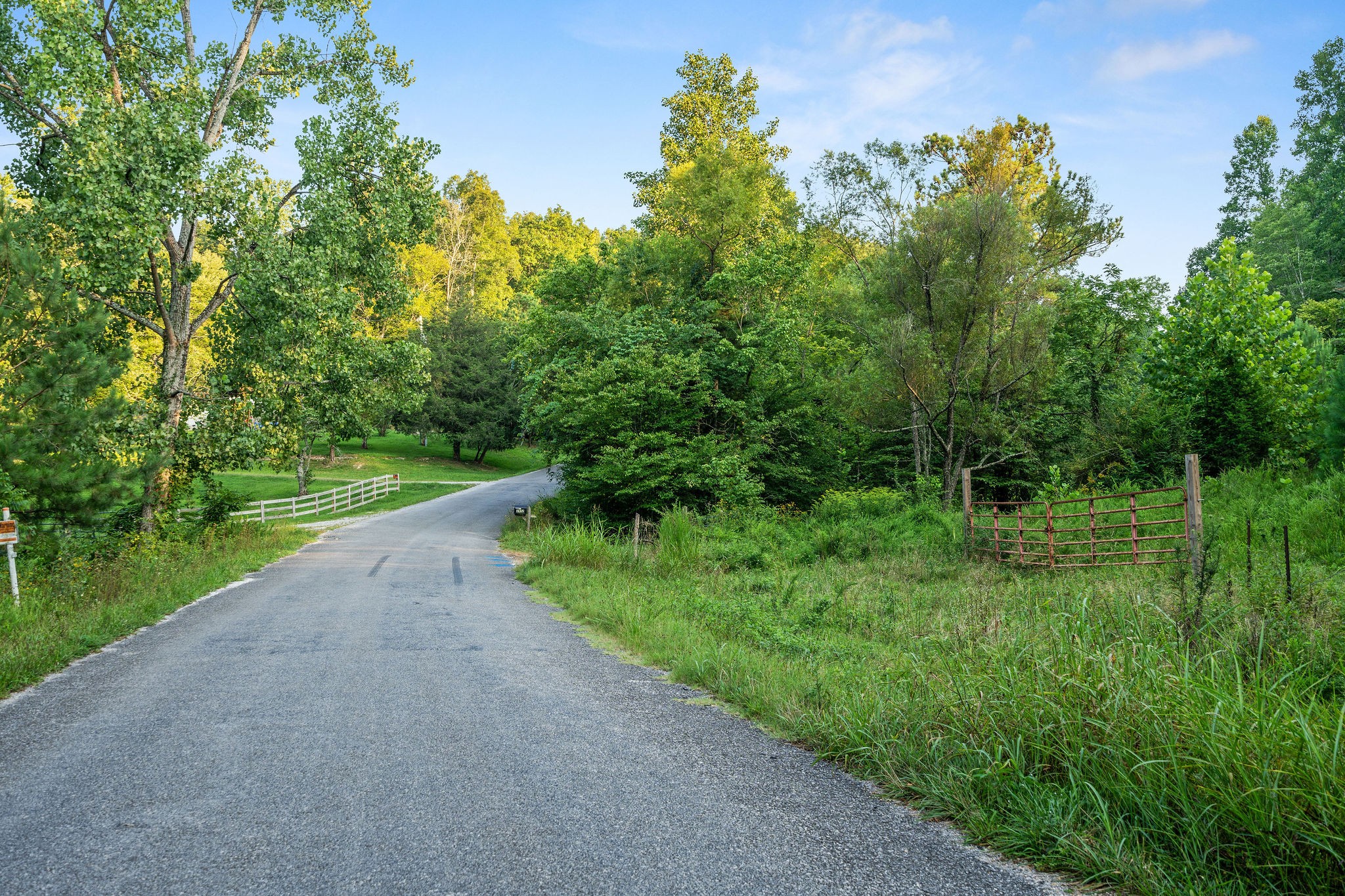 0 Skelley Road Santa Fe, TN 38482 - Photo 20 of 37 a view of a yard with plants and a trees