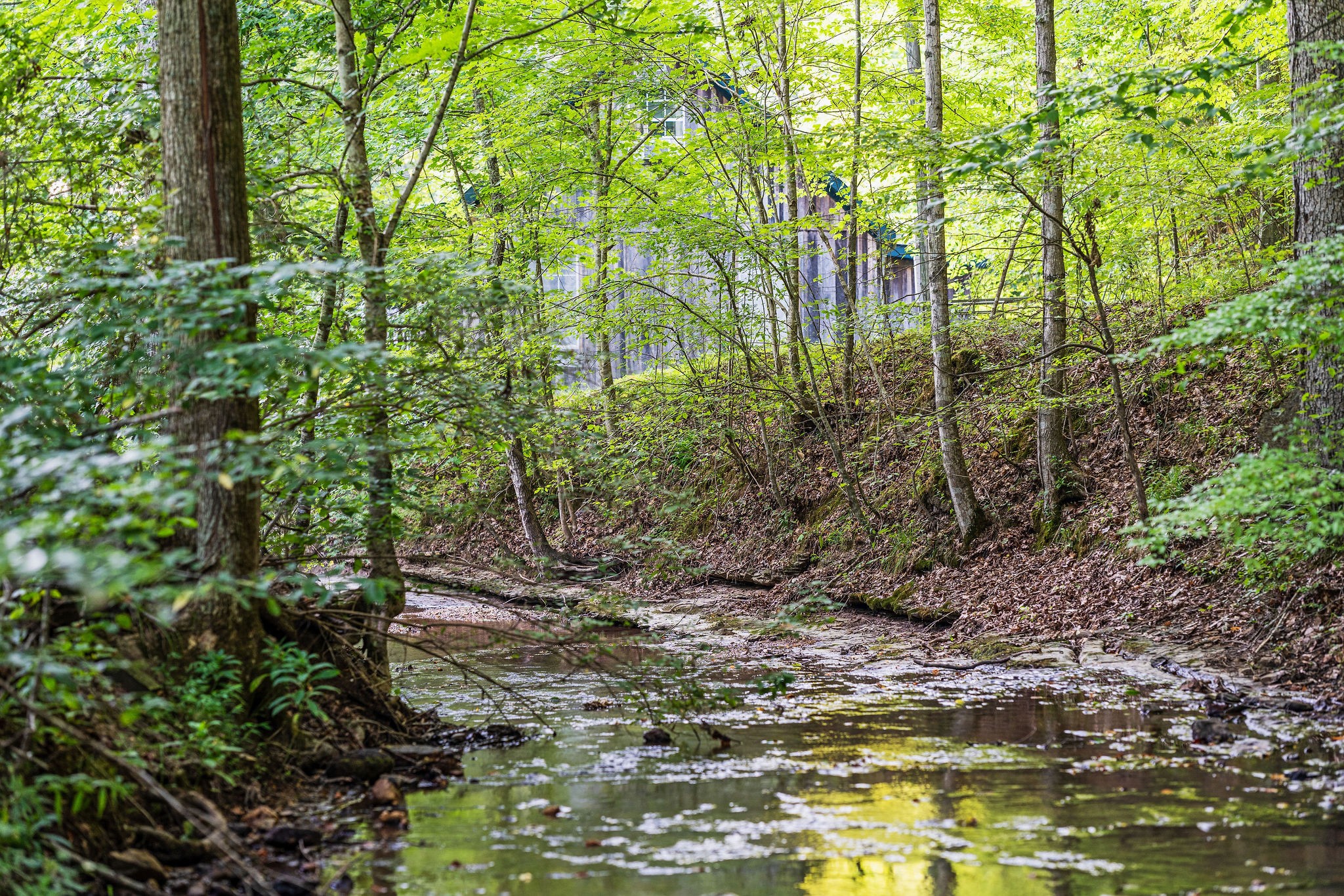 0 Skelley Road Santa Fe, TN 38482 - Photo 2 of 37 a view of lake view