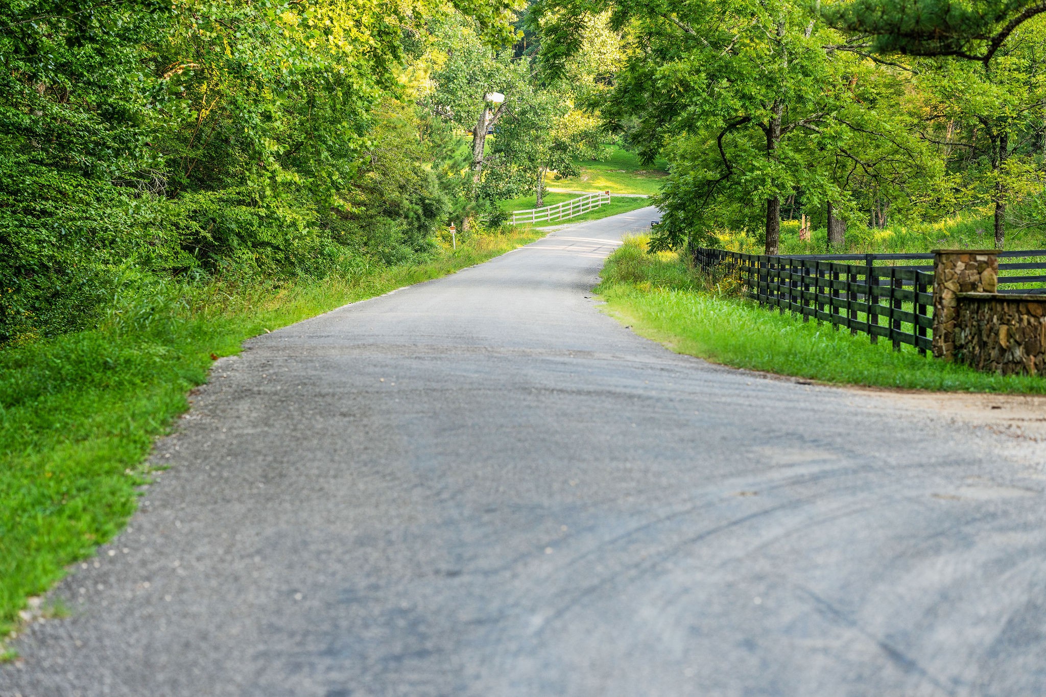 0 Skelley Road Santa Fe, TN 38482 - Photo 8 of 37 a view of a street with a yard