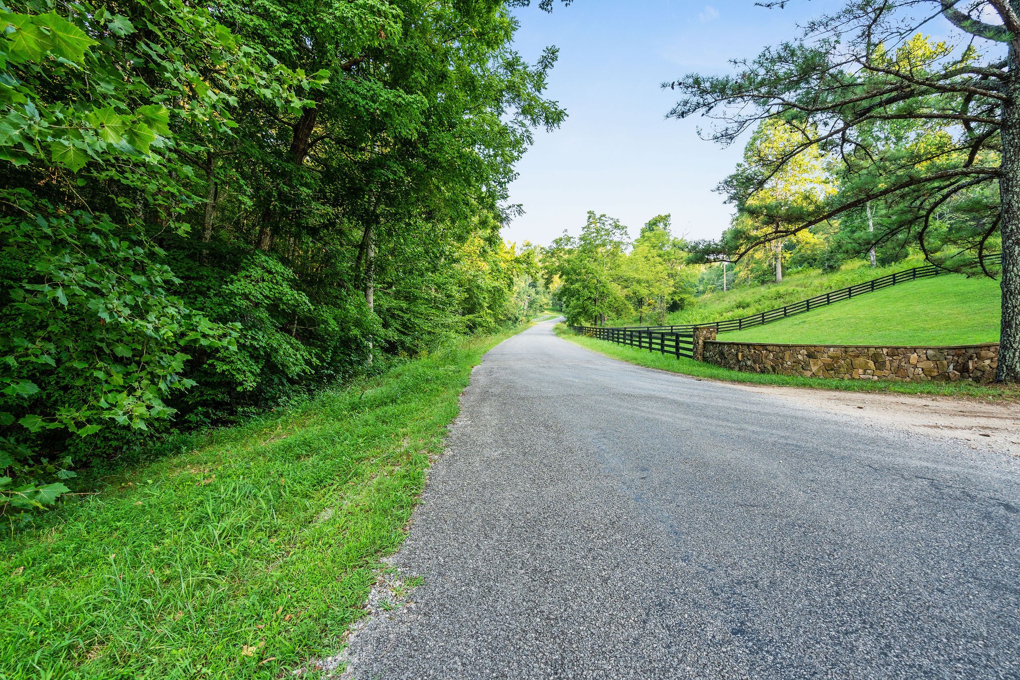 0 Skelley Road Santa Fe, TN 38482 - Photo 9 of 37 a view of a road with a yard