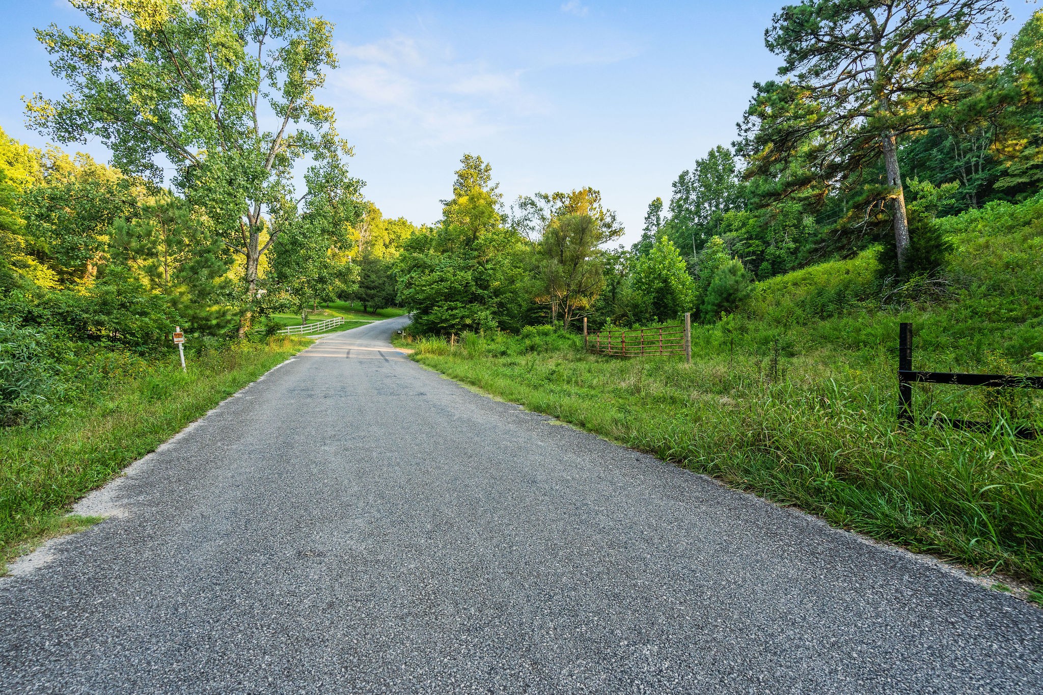 0 Skelley Road Santa Fe, TN 38482 - Photo 10 of 37 a view of a road with a yard