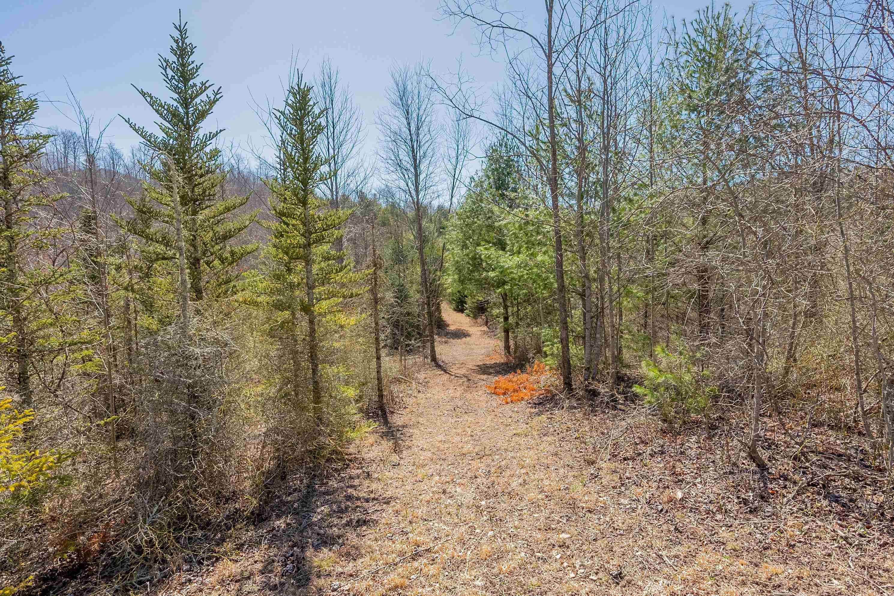 Tbd Southwest Tbd Sw Jeb Stuart Road Southwest Damascus, VA 24236 - Photo 62 of 113 Gallery Image 62