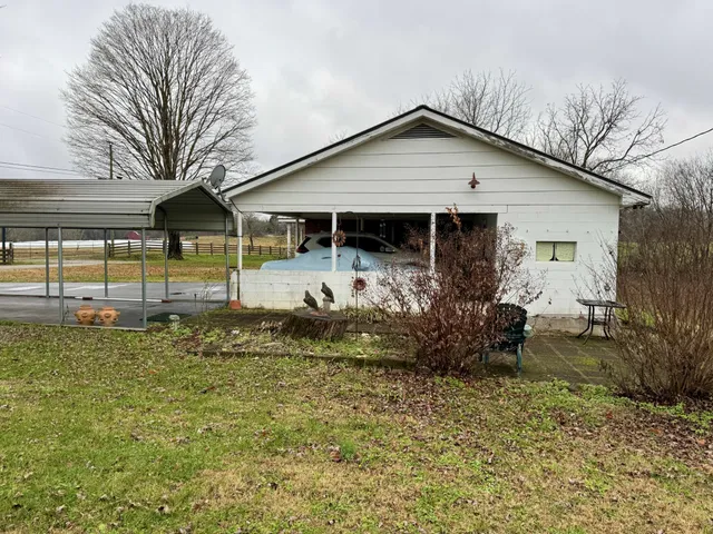a view of a yard in front of a house with a large tree