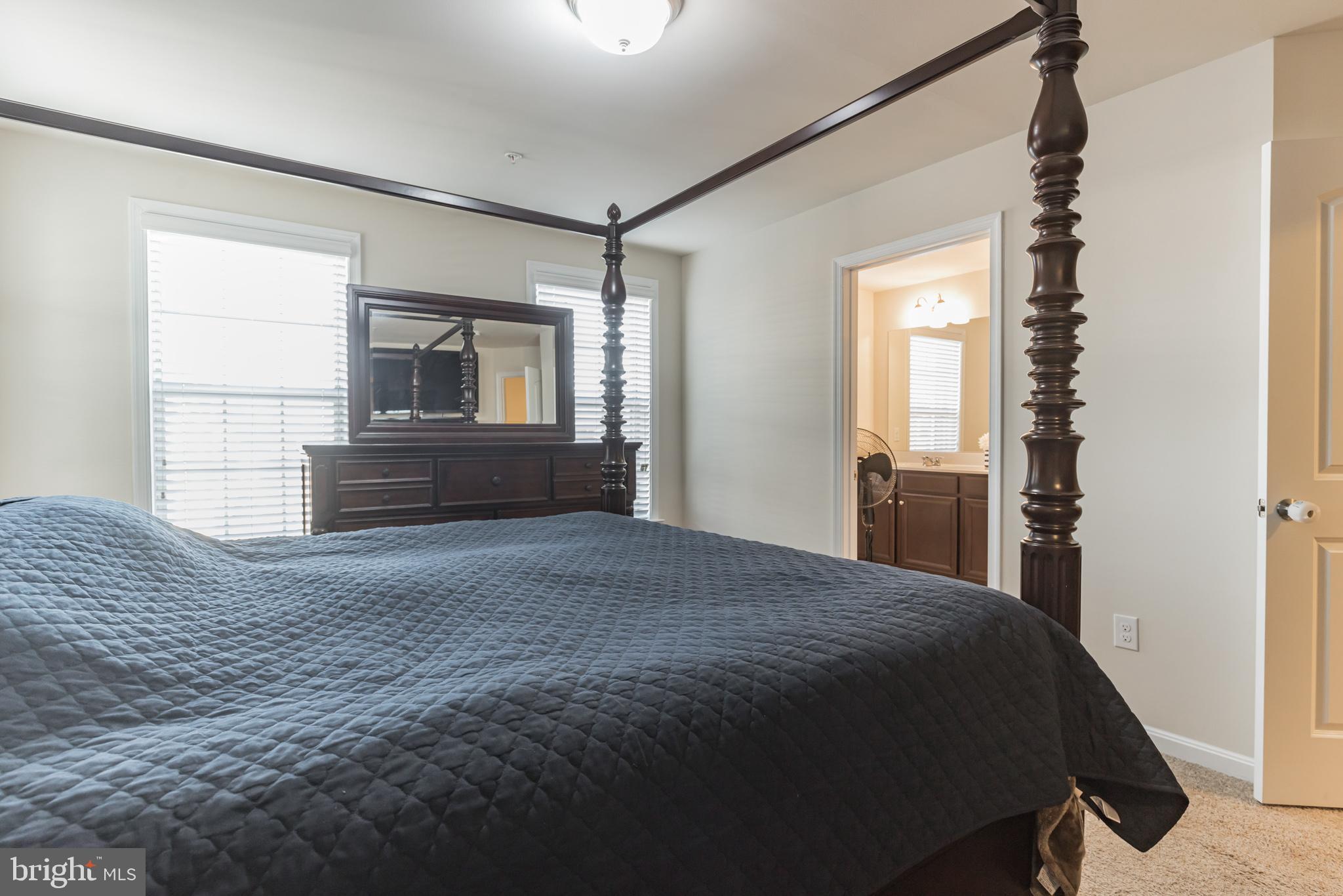 9520 Smithview Place Glenarden, MD 20706 - Photo 20 of 33 view into primary en-suite