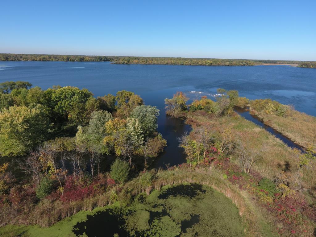 7333 Peltier Circle Centerville, MN 55038 - Photo 7 of 13