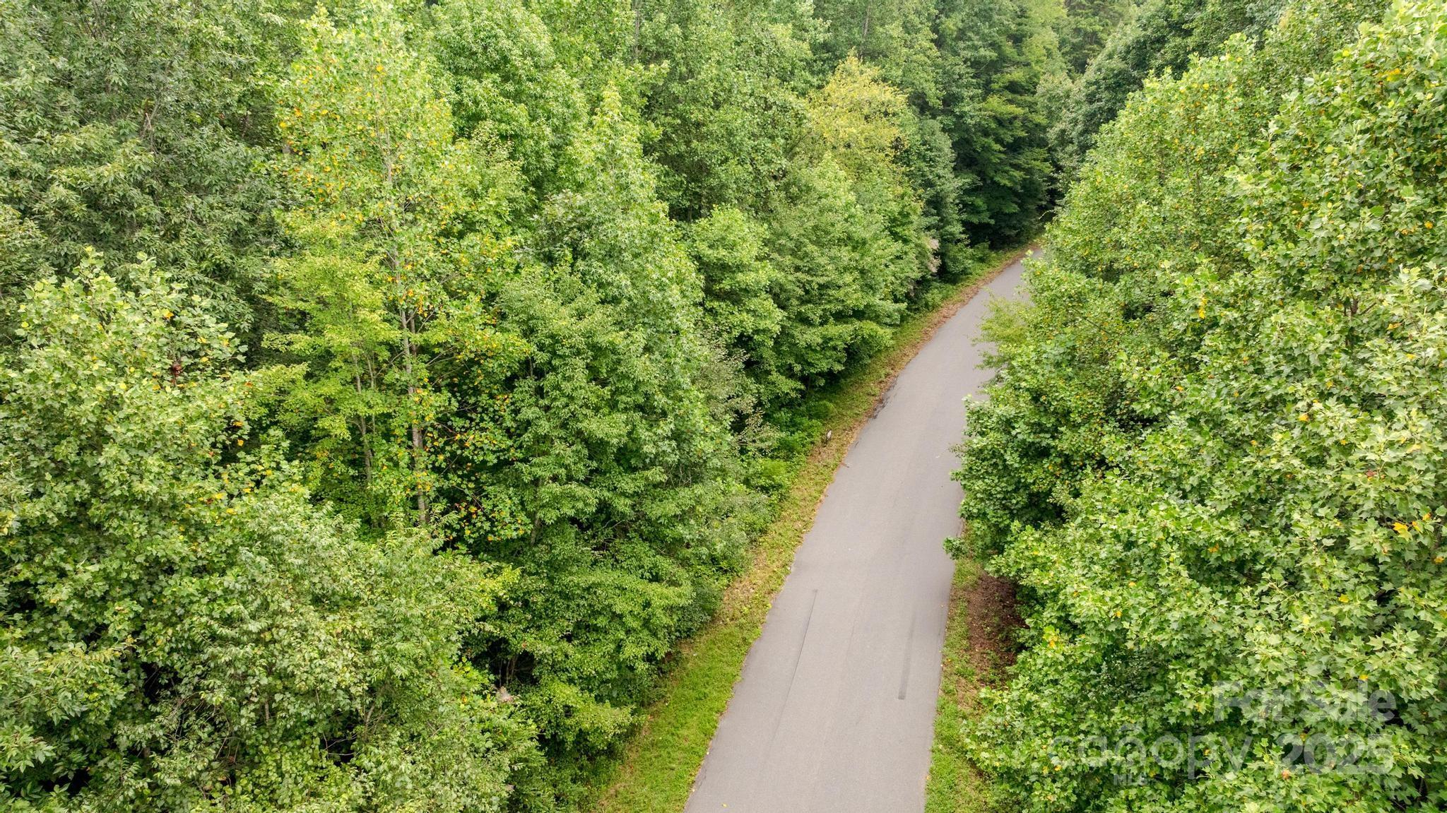 256 Sailwinds Road Mooresville, NC 28115 - Photo 3 of 8 a view of a pathway both side of yard