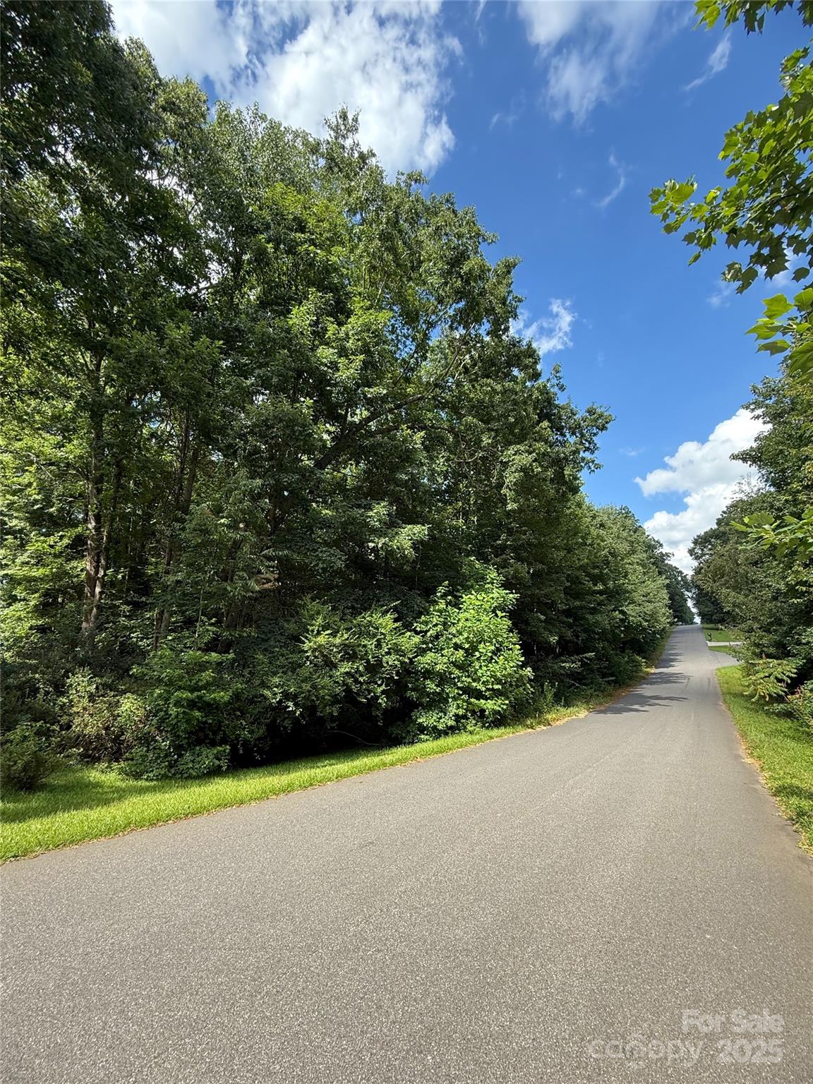 256 Sailwinds Road Mooresville, NC 28115 - Photo 7 of 8 a view of a yard with a tree