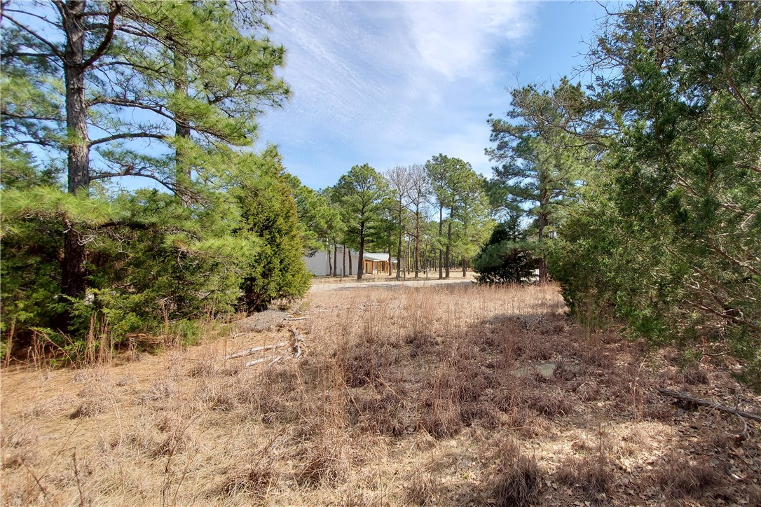 0 Sandy Road Rosanky, TX 78953 - Photo 1 of 1 Gallery Image 1