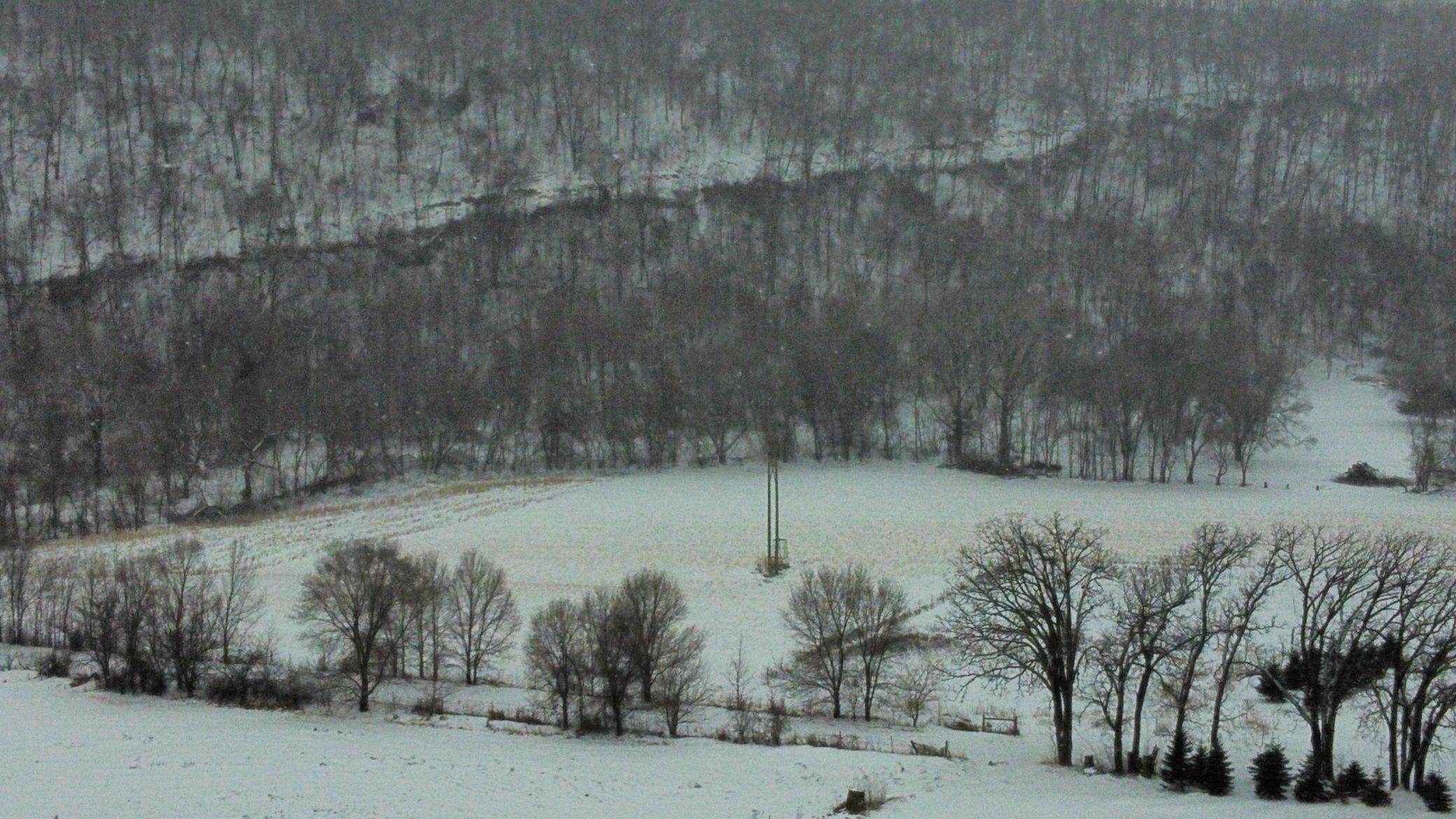 Tbd Territorial Road Lake City, MN 55041 - Photo 5 of 14