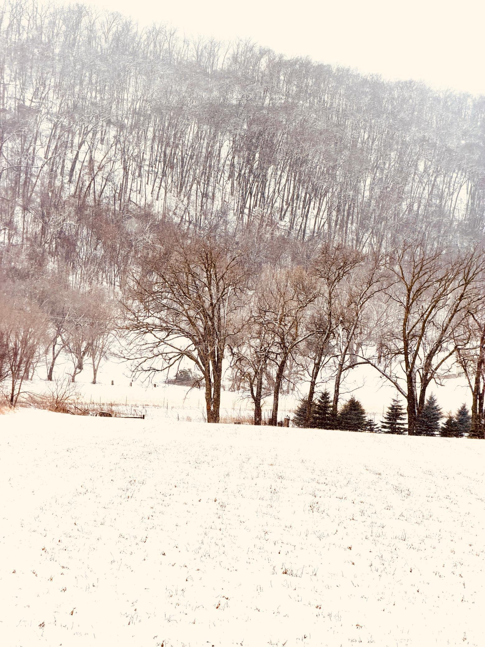 Tbd Territorial Road Lake City, MN 55041 - Photo 8 of 14