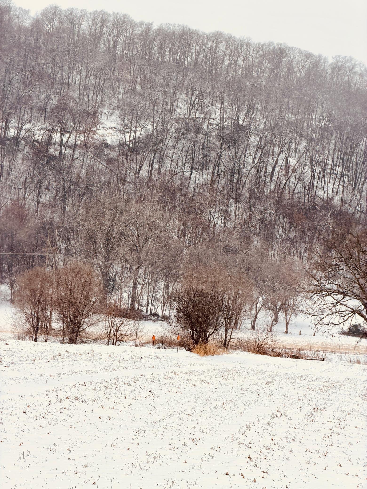 Tbd Territorial Road Lake City, MN 55041 - Photo 9 of 14