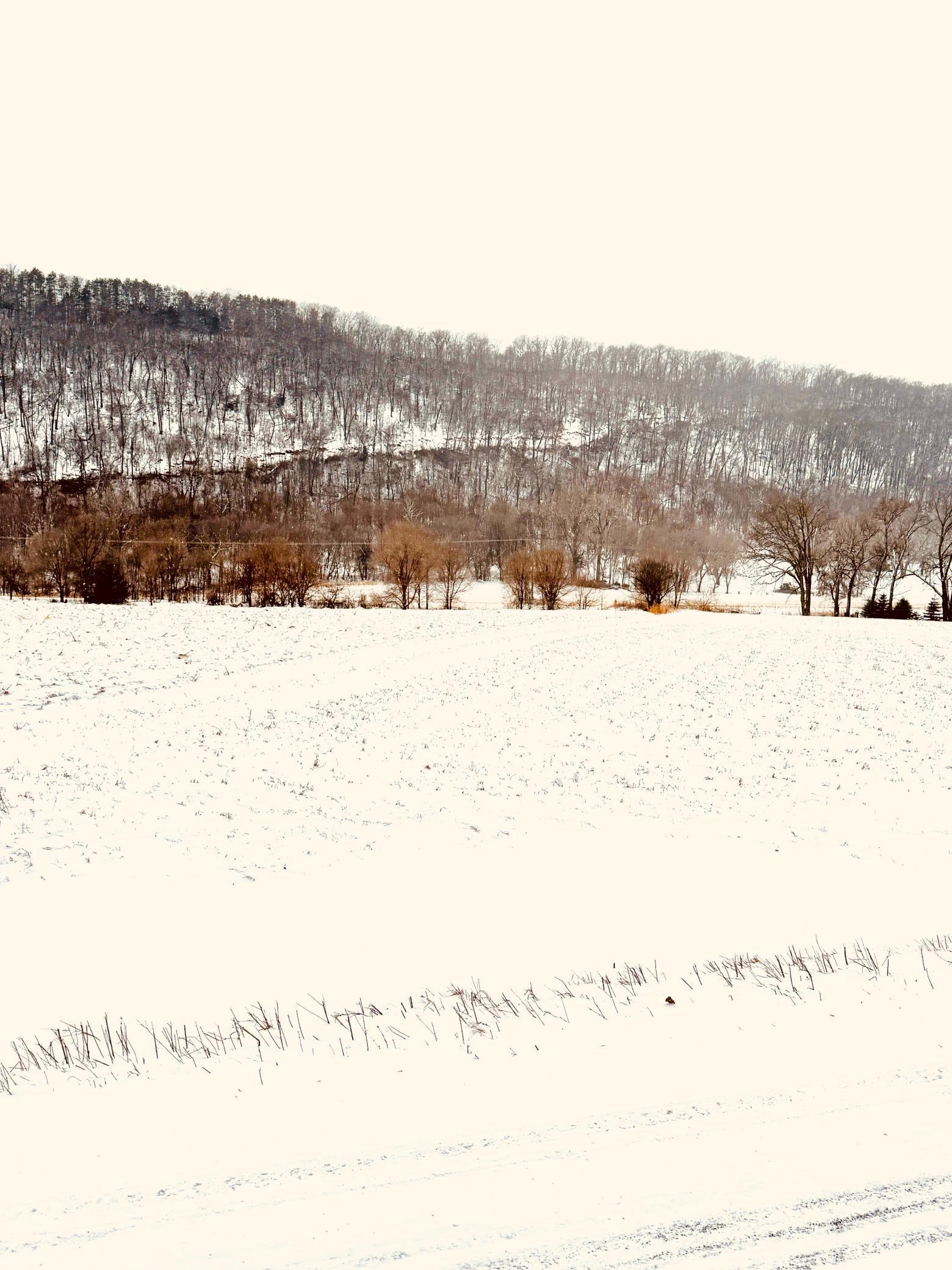 Tbd Territorial Road Lake City, MN 55041 - Photo 10 of 14