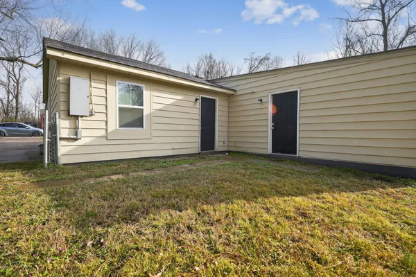 a view of a backyard with plants and large tree