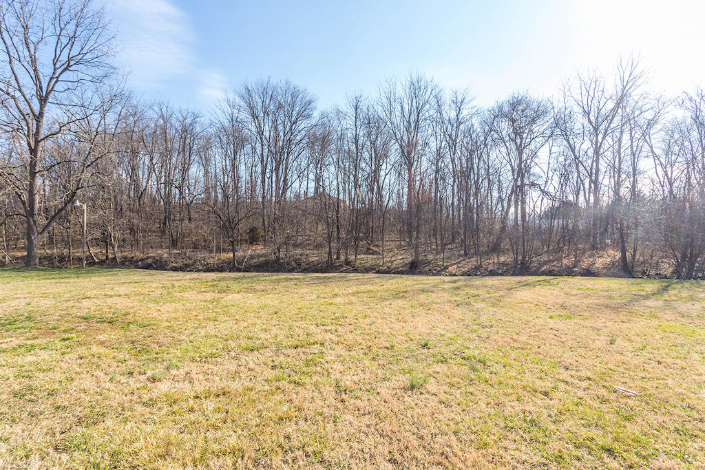2053 Meadowbrook Road Northwest Roanoke, VA 24017 - Photo 30 of 32 DGA_5560