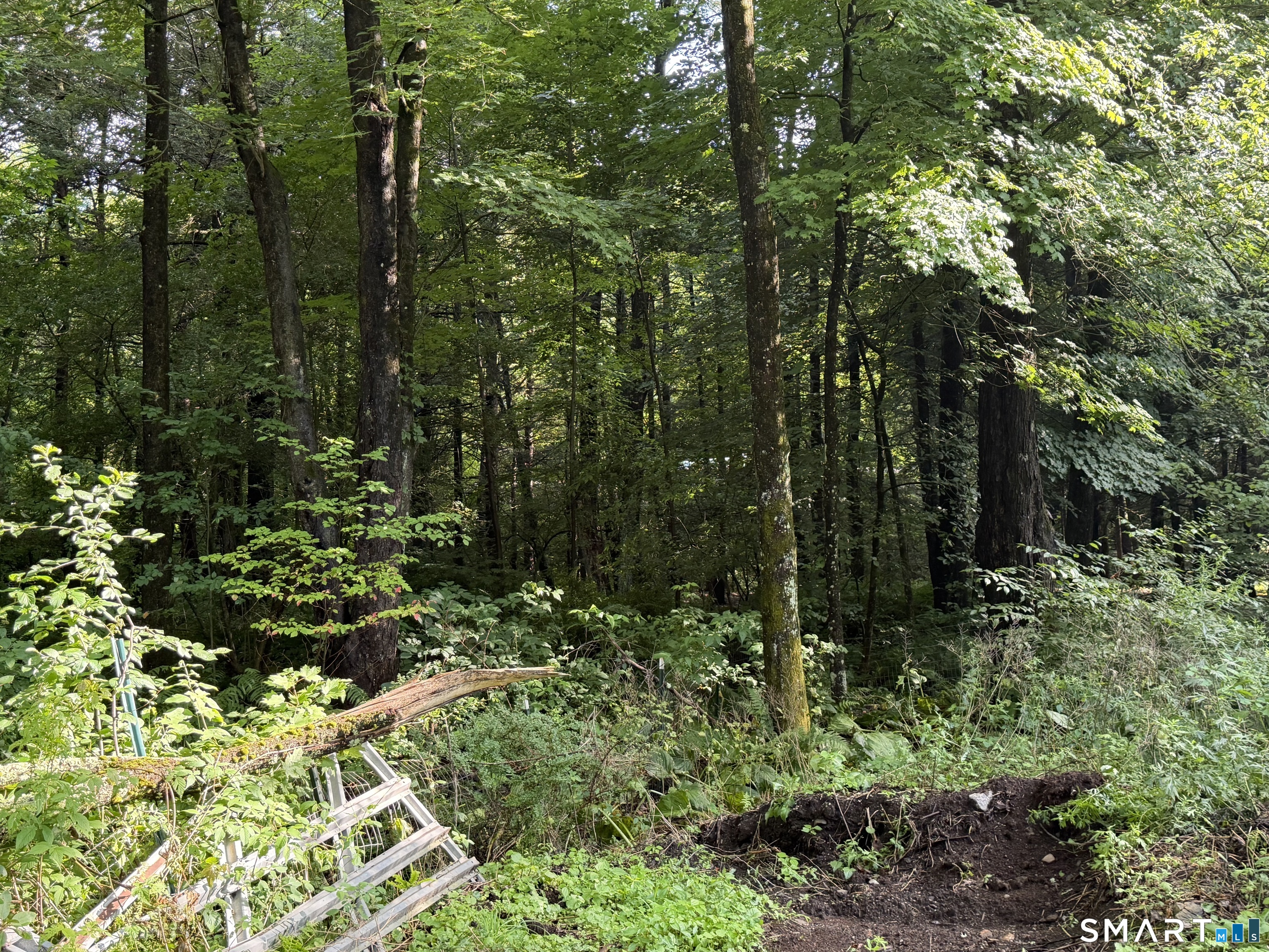 Wheeler Road Litchfield, CT 06759 - Photo 3 of 8