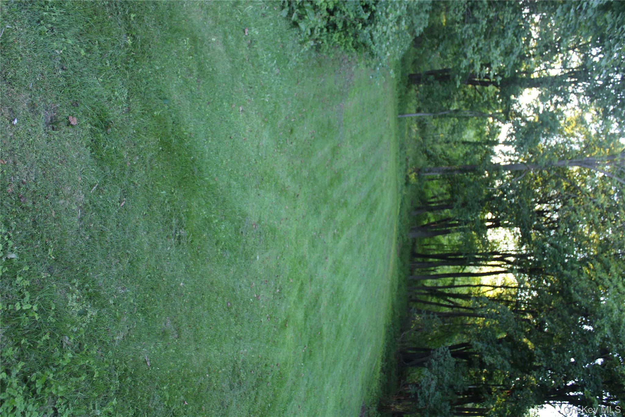 163 Bower Road Pleasant Valley, NY 12603 - Photo 11 of 11