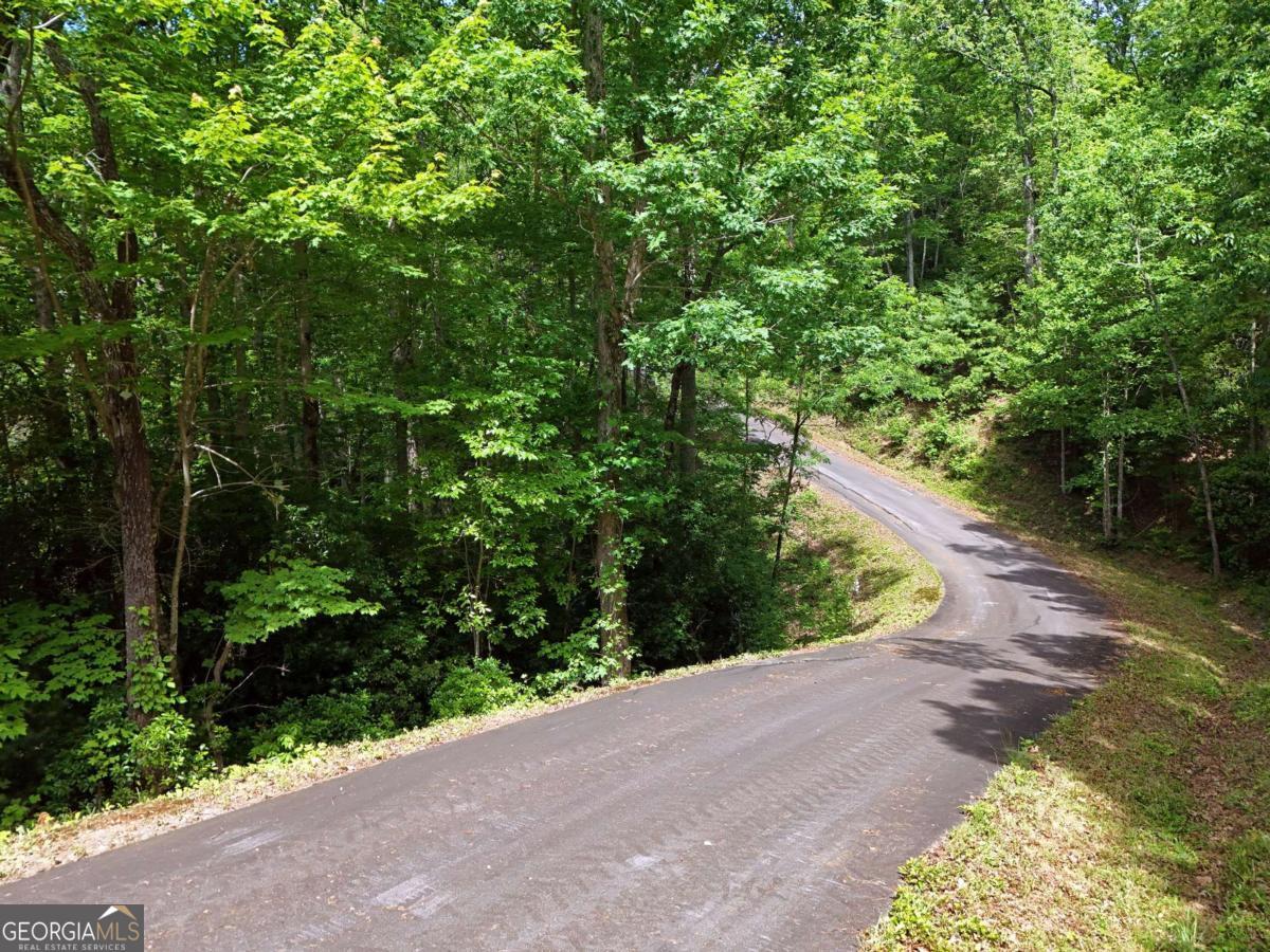 Lot 12 Hightower Ridge Hiawassee, GA 30546 - Photo 7 of 23