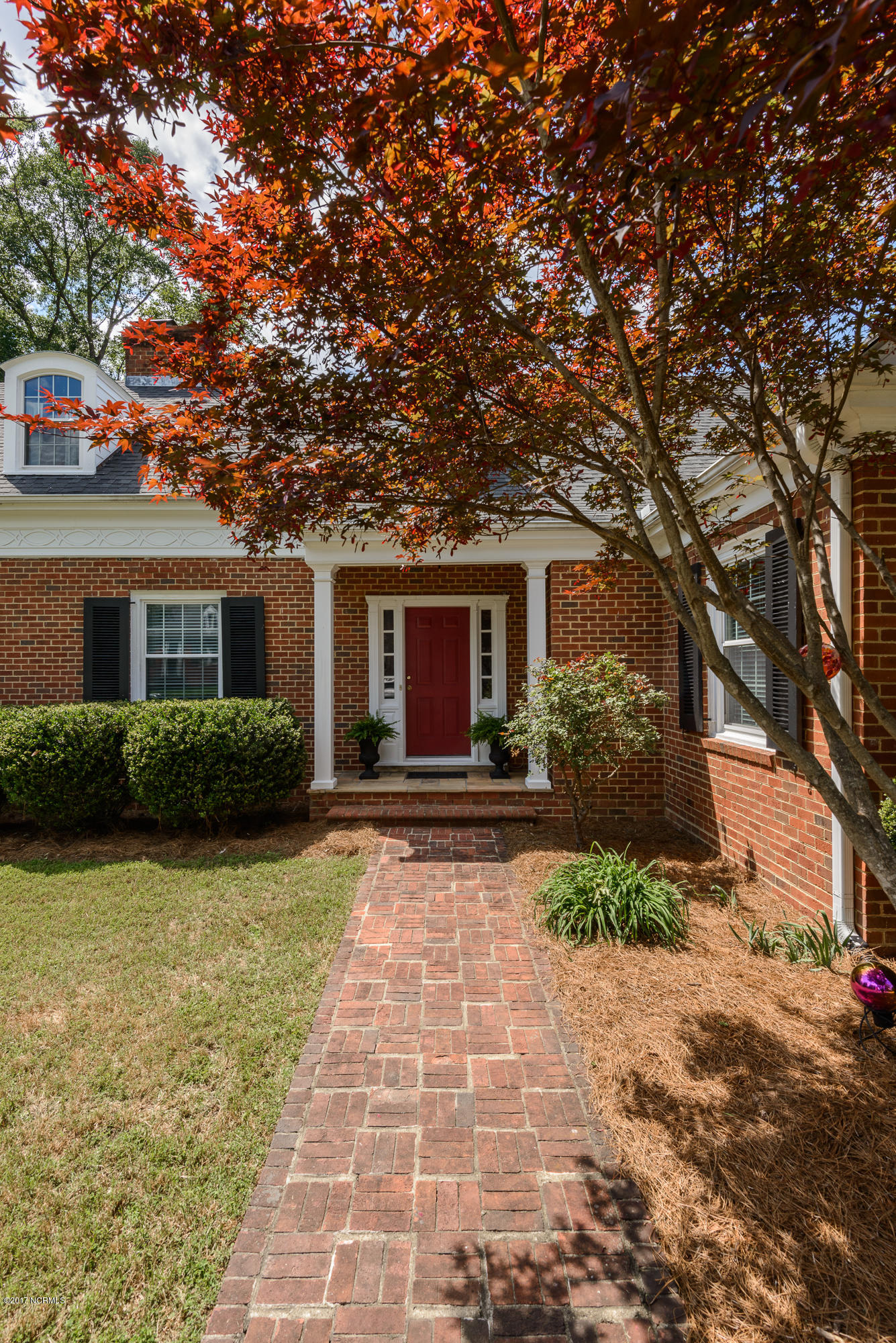 1100 West Rock Spring Road Greenville, NC 27858 - Photo 48 of 51 Japanese Maple Tree leading to front door