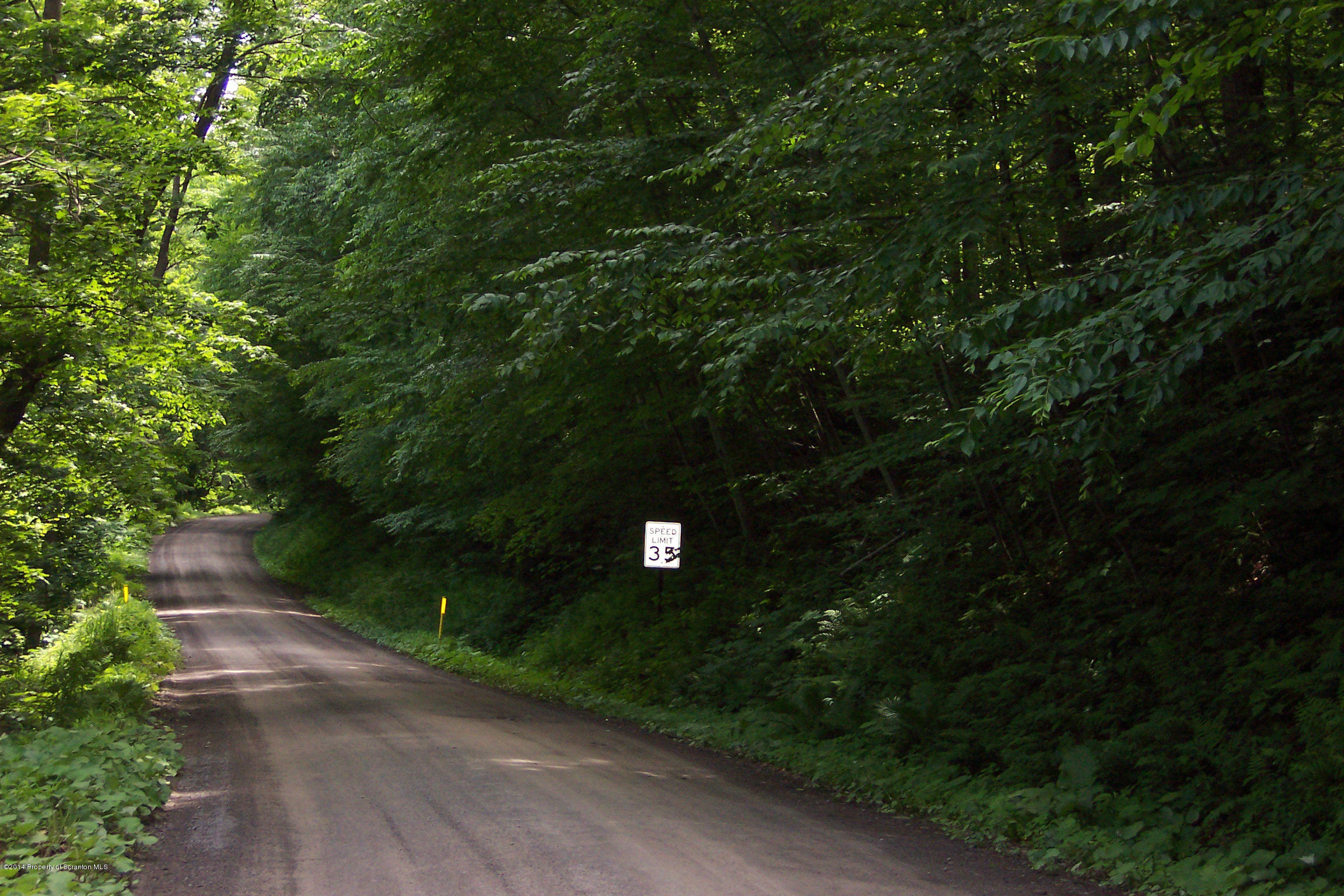 Harmony Road Susquehanna, PA 18847 - Photo 1 of 16 Road Frontage on a maintained road