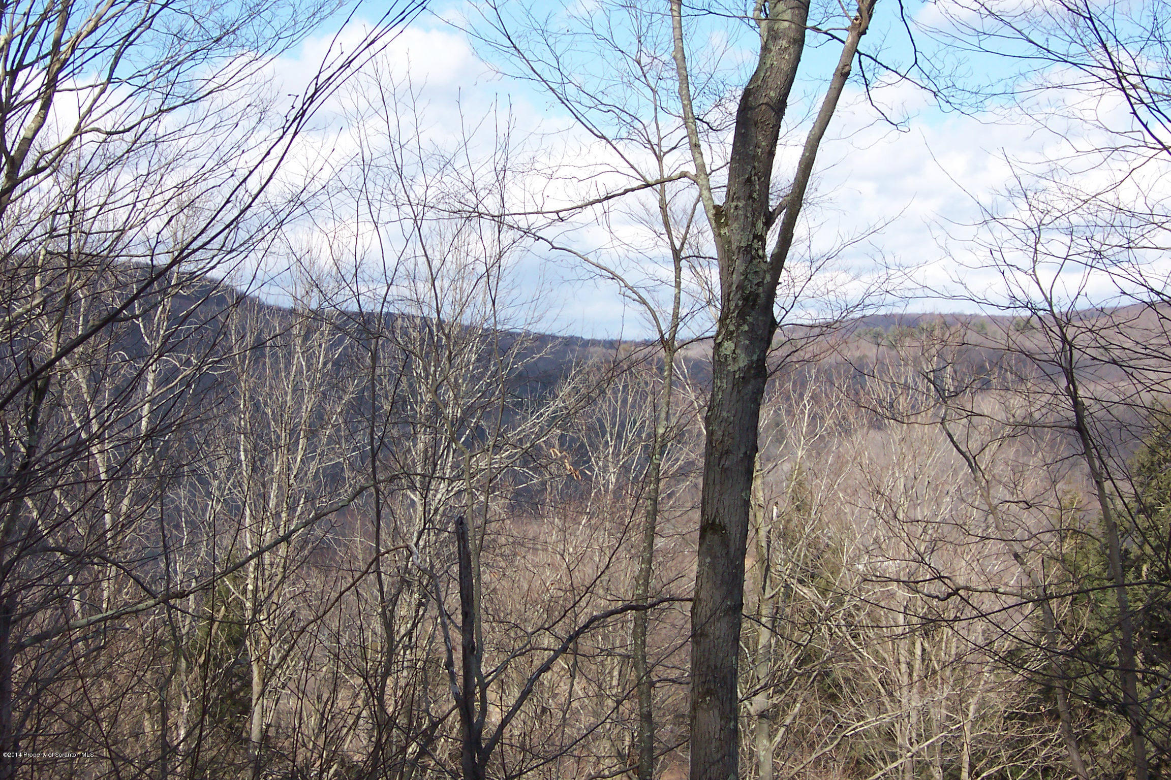 Harmony Road Susquehanna, PA 18847 - Photo 4 of 16 Views