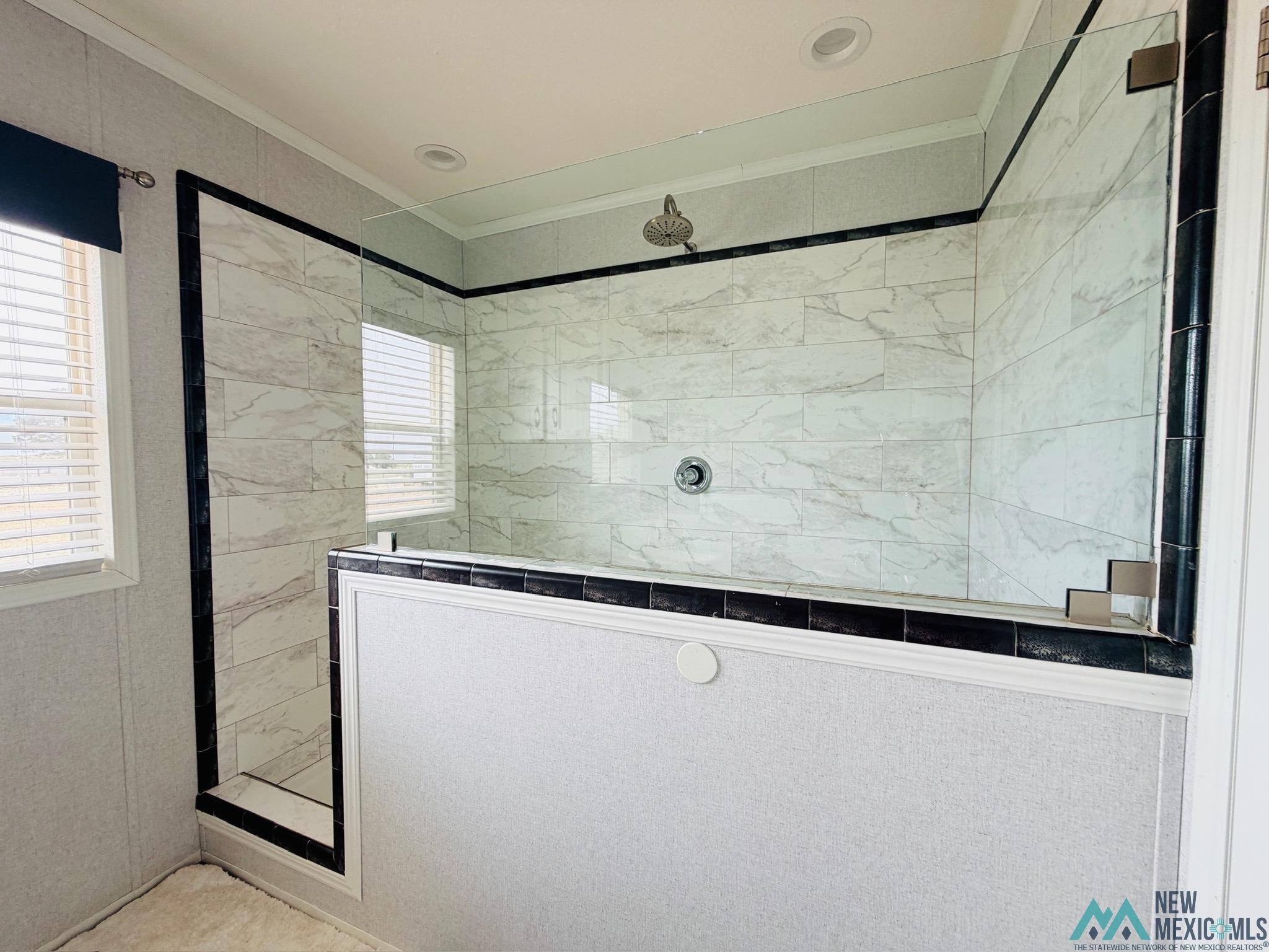 7882 Shoshoni Road Hagerman, NM 88232 - Photo 12 of 24 Gallery Image 12