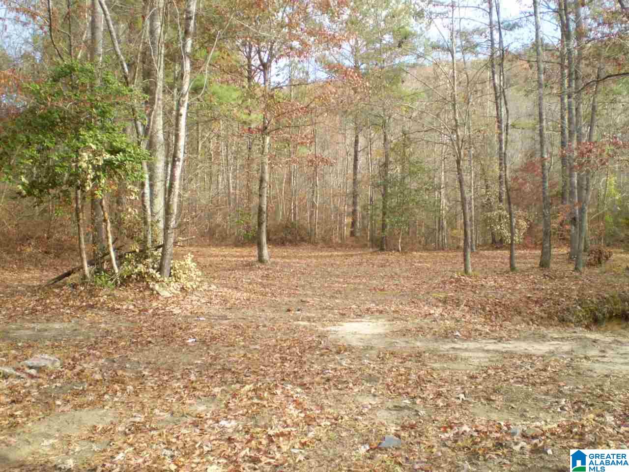 172 Waldrop Road, Unit 9 Ashville, AL 35953 - Photo 30 of 36