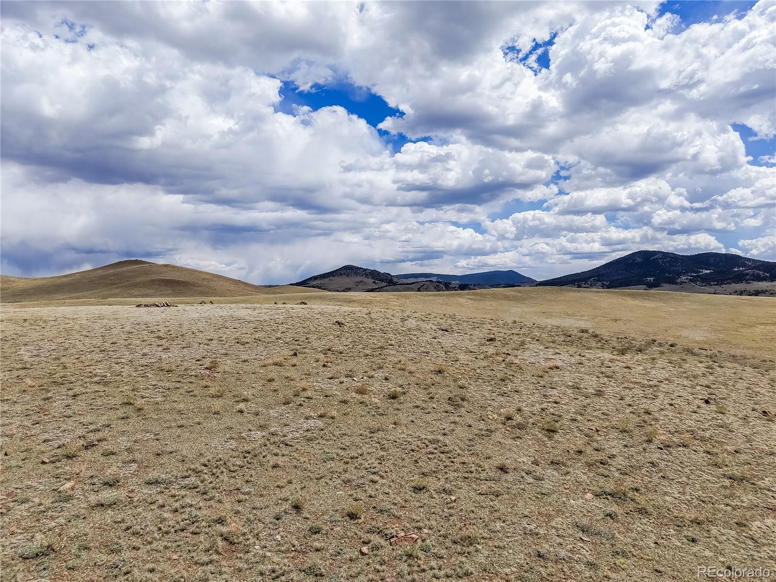 151 Black Beaver Road Hartsel, CO 80449 - Photo 22 of 30